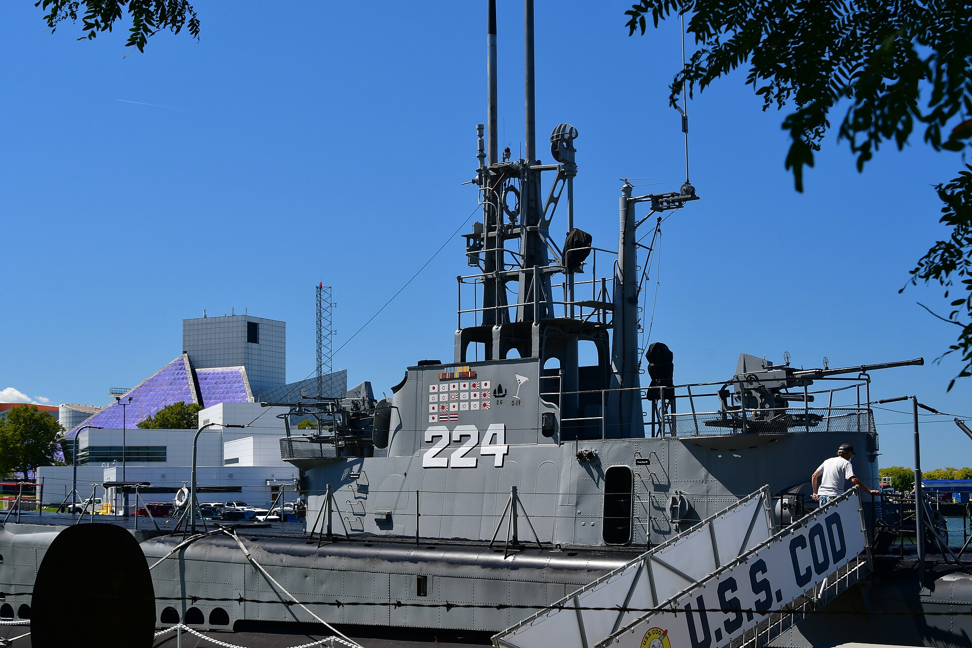 USS Cod 3